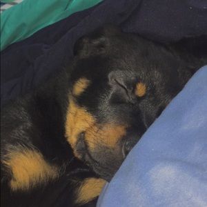 Meet your Posher, Olivia